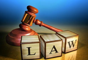 222只白胸翡翠鳥慘遭剖腹取臟 殘忍獵殺背后，法律與生態之殤